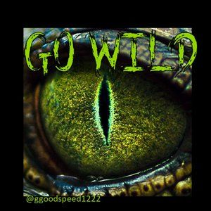 Go Wild Mystery Bundle Box